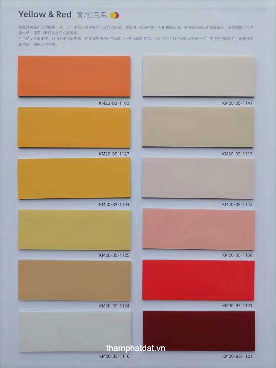 cataloge vinyl đơn sắc yellow & red 