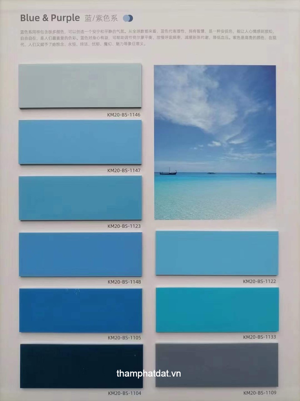 cataloge vinyl đơn sắc blue & purple 